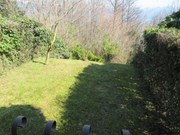 /media/350774/IMG_5239.jpg