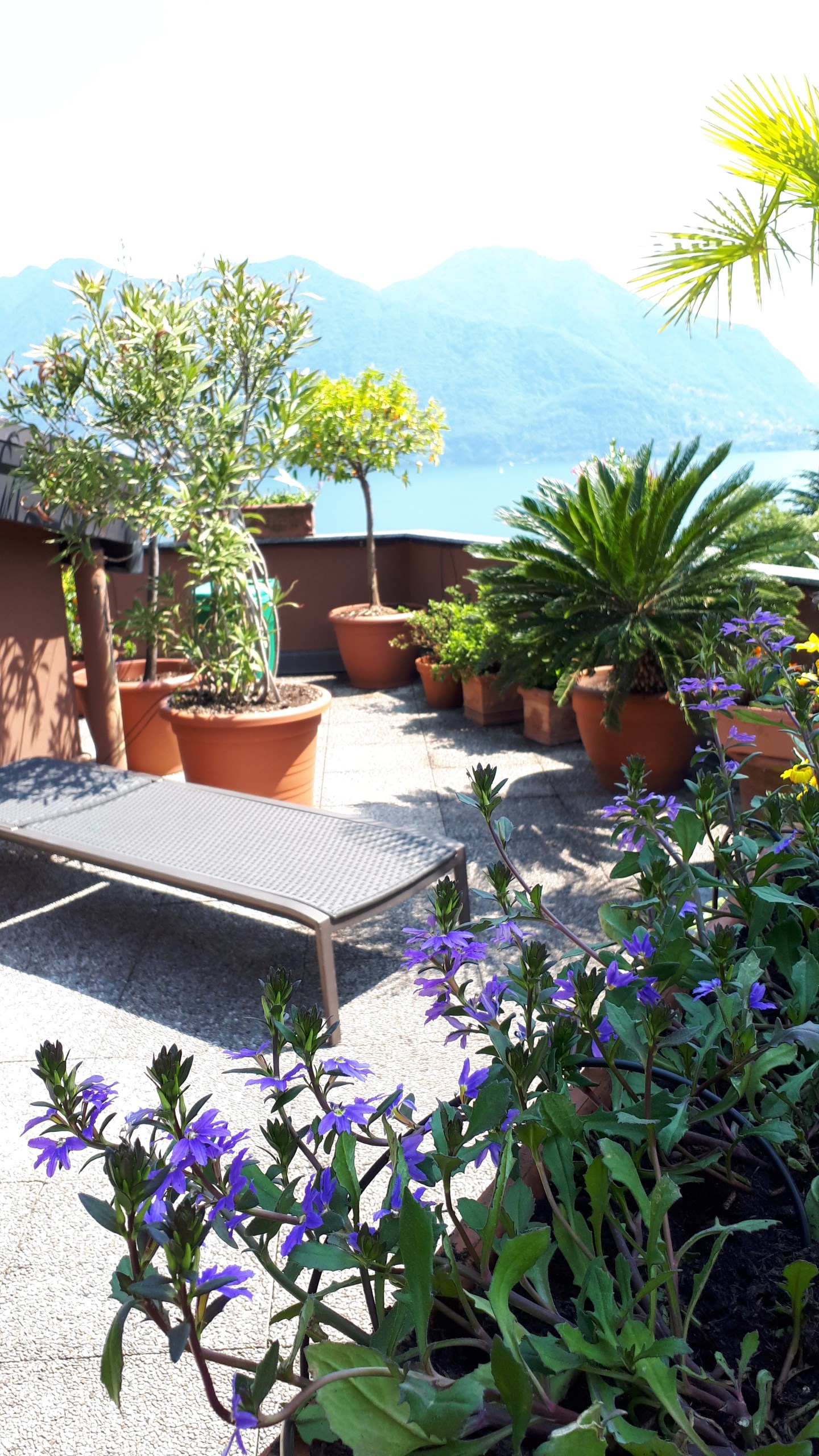 13635-immobiliaredipalo-alloggiolaselvaghiffa-05_terrazzo2 Appartamento vista lago con grande terrazzo panoramico