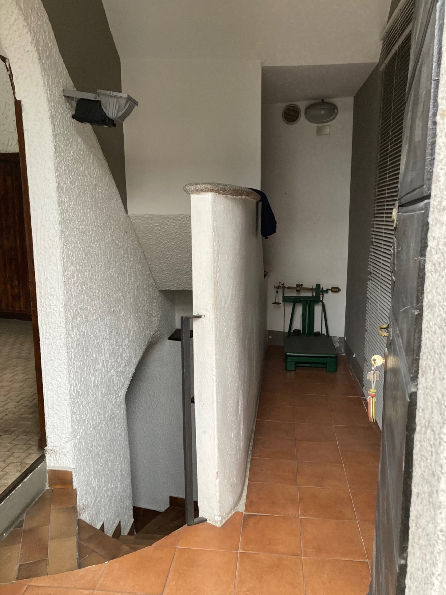 13712-immobiliaredipalo-negoziopallanza-03_ingresso Negozio centrale su strada di passaggio