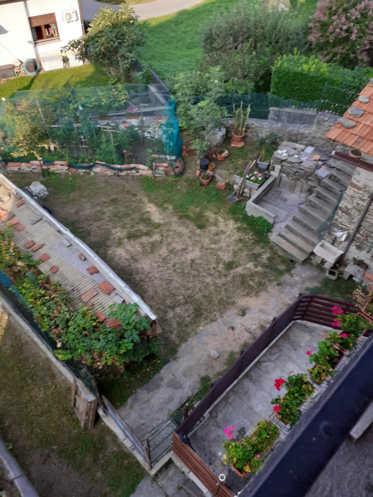 13724-immobiliaredipalo-rusticocavandone- 03_giardino Rustico indipendente con giardino