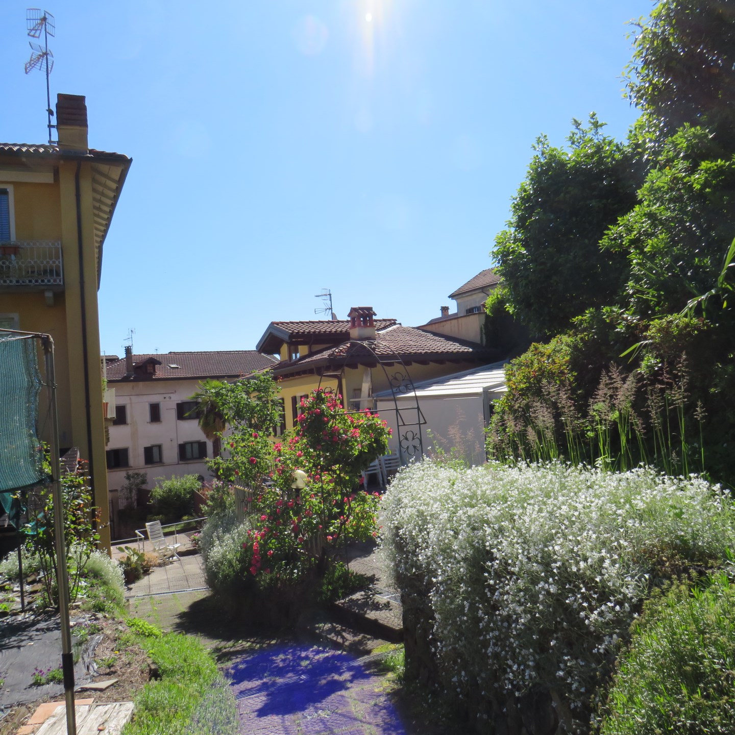 13834-immobiliaredipalo-casameina- 02_giardino Casa indipendente con bellissimo giardino