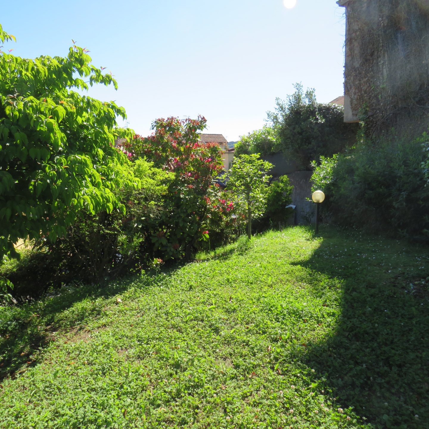 13834-immobiliaredipalo-casameina- 05_giardino2 Casa indipendente con bellissimo giardino