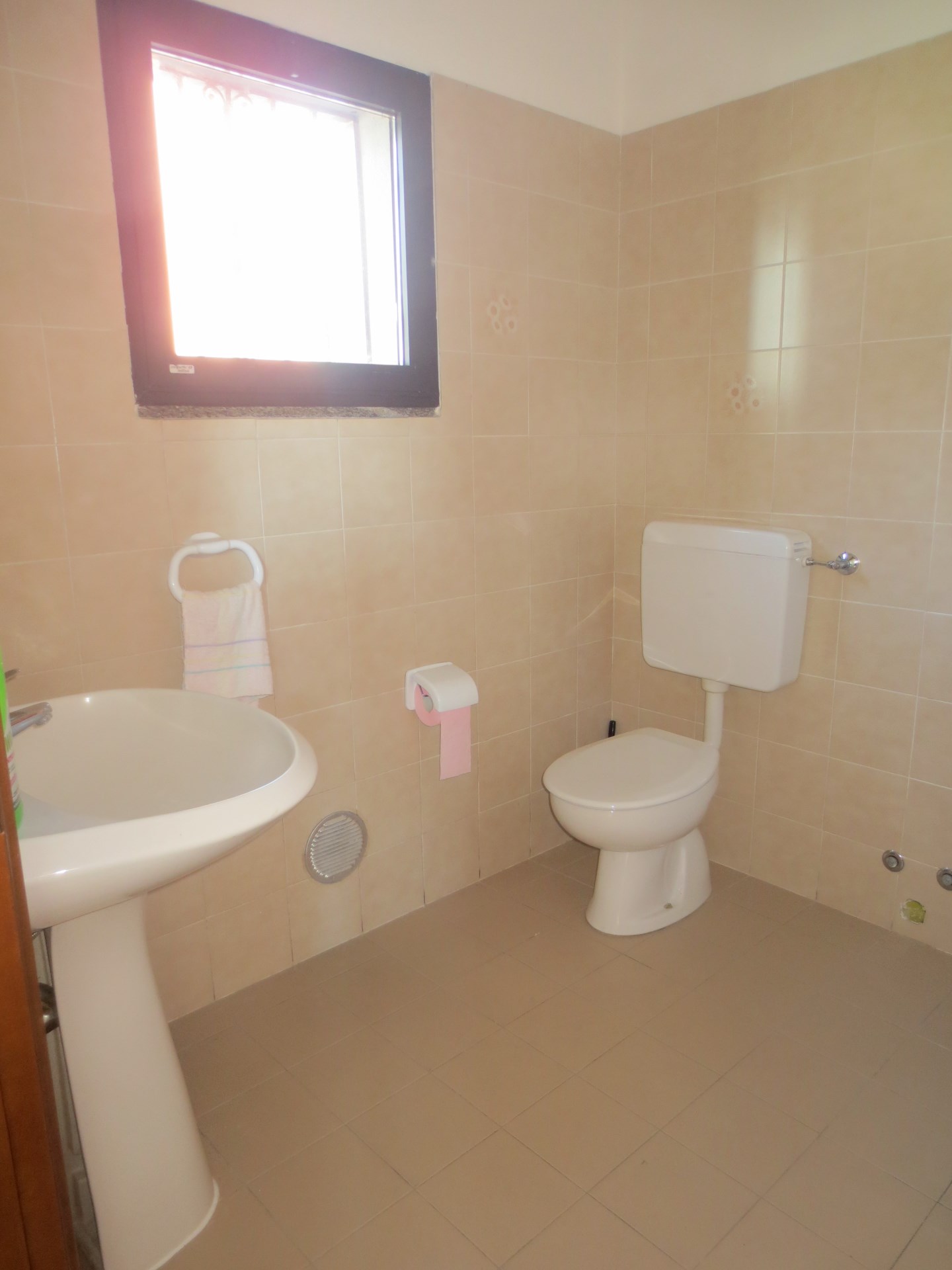 13131-immobiliaredipalo-negoziopallanza- 07_bagno Negozio a Sant’Anna