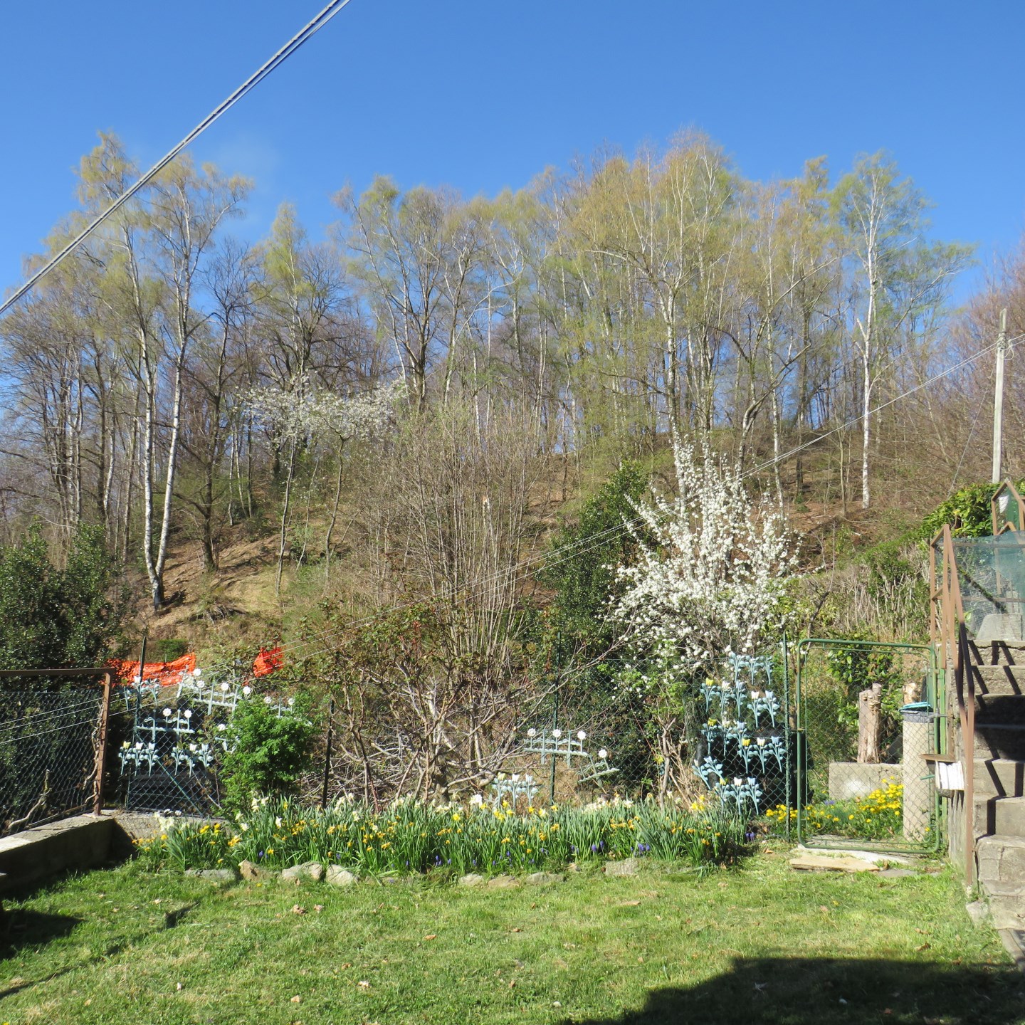 Villa indipendente con giardino
