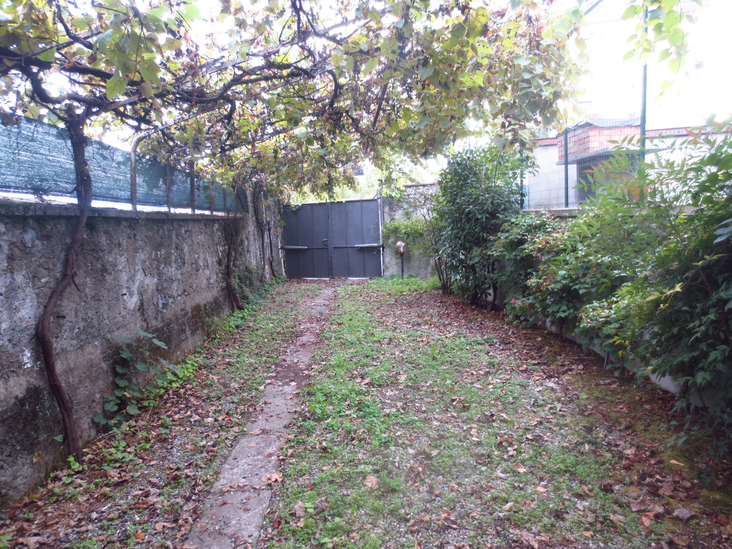 13221-immobiliaredipalo-alloggiointra- 06_giardino Appartamento in bel contesto residenziale
